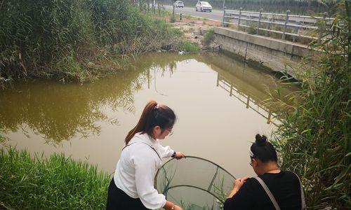 沟渠钓鱼技巧揭秘（深入沟渠）  第2张