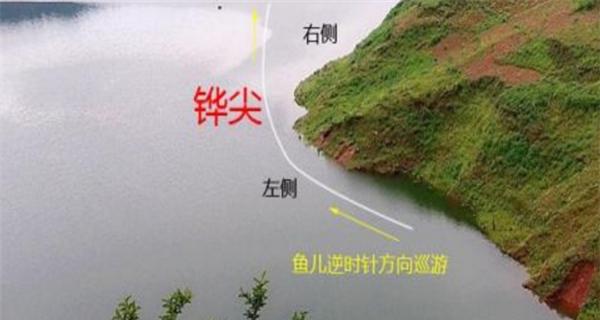 探秘谷麦钓野外垂钓技巧（挑战自我）  第2张