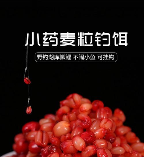 谷麦野外垂钓技巧与方法（掌握谷麦野外垂钓）  第2张