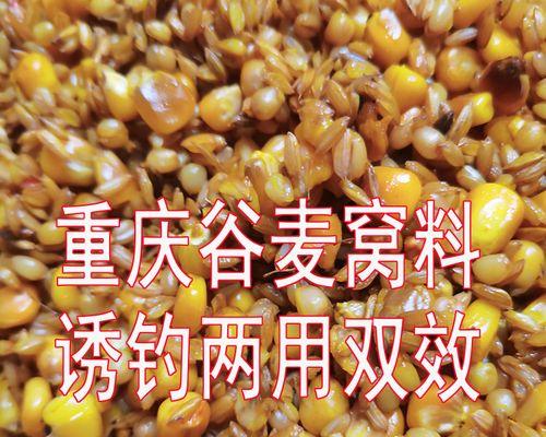 阴天钓鱼技巧大揭秘（掌握关键技巧）  第1张