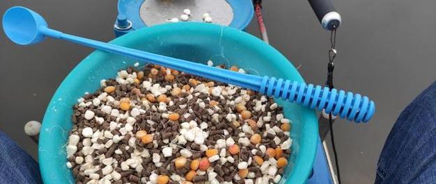 谷雨钓鱼技巧（揭秘谷雨时节的鱼儿窍门）  第1张