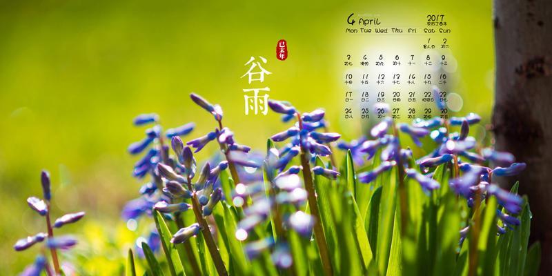 谷雨时节的钓鱼技巧（掌握钓鱼的关键技巧）  第2张