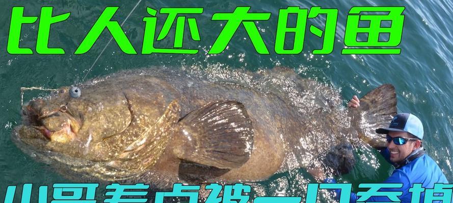 掌握海怪钩钓鱼技巧的关键（捕获大量鱼类的秘诀）  第3张