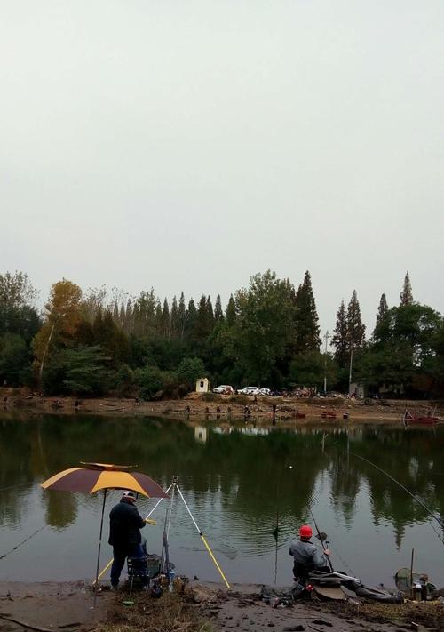 海河钓鱼技巧大全（提高钓鱼成功率）  第2张