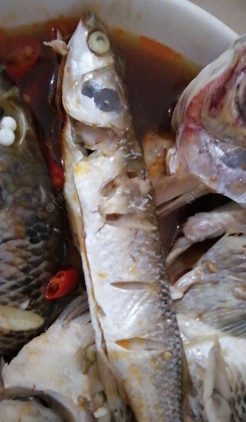 浮钓海鲫鱼的技巧（掌握浮钓技巧）  第1张