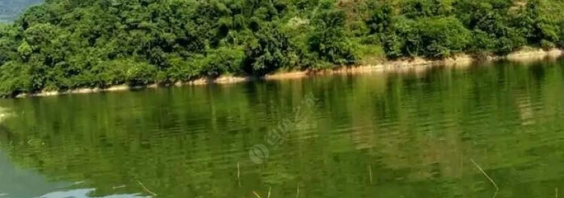海南大水库钓鱼技巧与方法（探秘海南大水库钓鱼的窍门与策略）  第1张