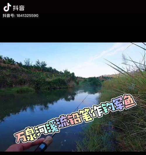 海南钓鱼技巧与方法（掌握海南钓鱼的技巧）  第2张