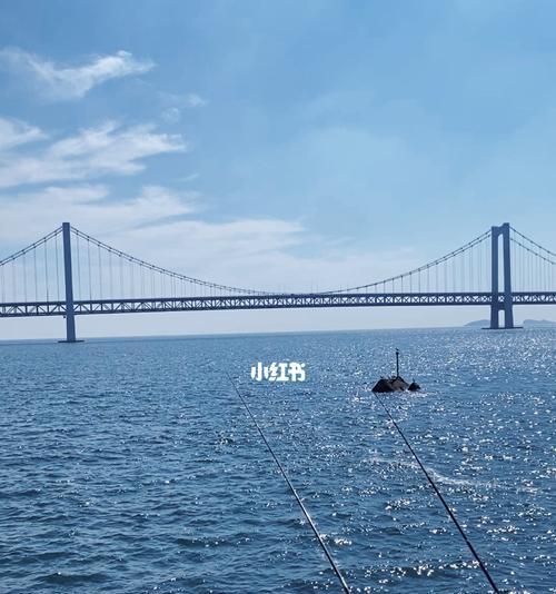 海桥上钓鱼技巧剖析（钓鱼新手必读）  第1张