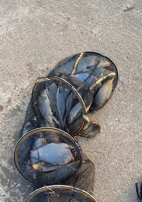 海上排水口钓鱼技巧与方法（海钓新手必备）  第3张