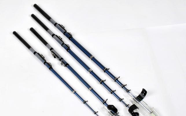 海水矶钓竿钓鱼的正确方法与技巧（掌握关键技巧）  第1张