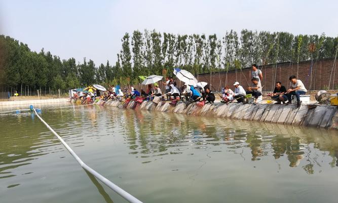 海水鱼塘钓鱼技巧（掌握海水鱼塘钓鱼技巧）  第3张