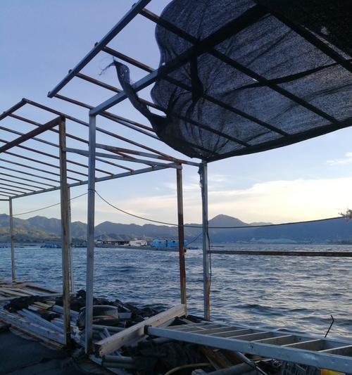 海滩钓鱼技巧（掌握成功的钓鱼技巧）  第3张