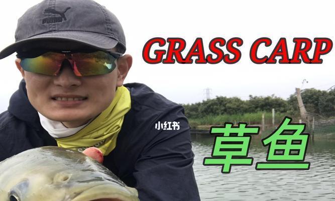 海湾钓鱼技巧教学（掌握关键技巧）  第1张