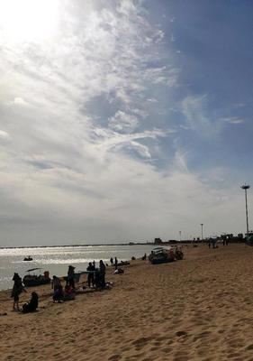 海阳海边钓鱼技巧大全（探索海阳海域的钓鱼技巧与窍门）  第3张