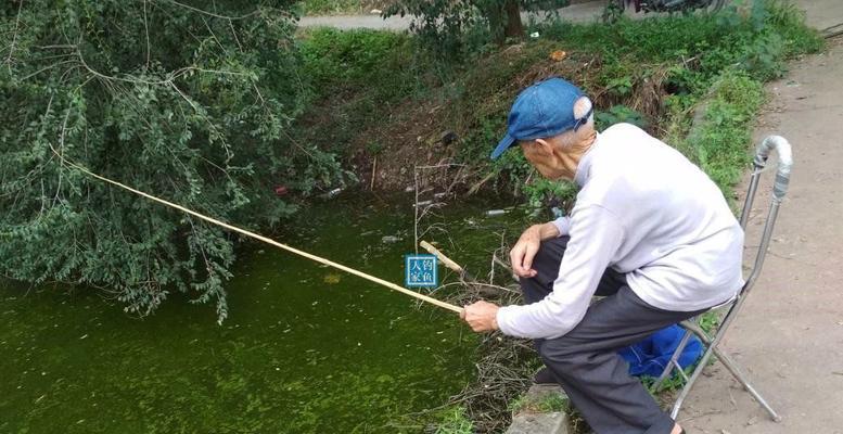海洋精灵钓鱼技巧（掌握海洋精灵钓鱼技巧）  第3张