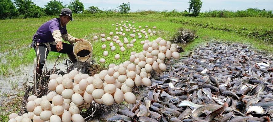 探秘旱季泥浆钓鱼技巧（解锁钓鱼方法）  第3张