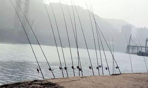 河坝底下钓鱼的技巧（掌握技巧）  第1张