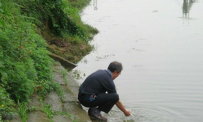 钓鱼达人分享（让你在河坝中钓到满满的收获）  第3张