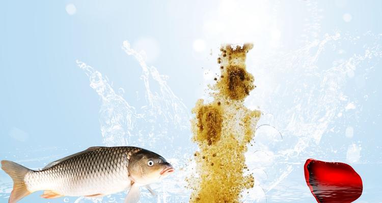 河边钓鱼的技巧与饵料使用方法（掌握这些技巧）  第2张