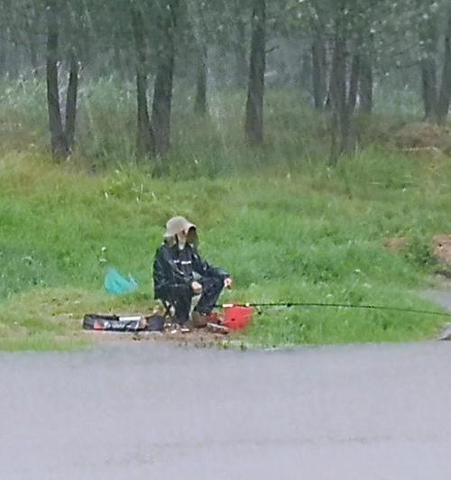 河边静心钓鱼技巧（享受自然美景）  第3张