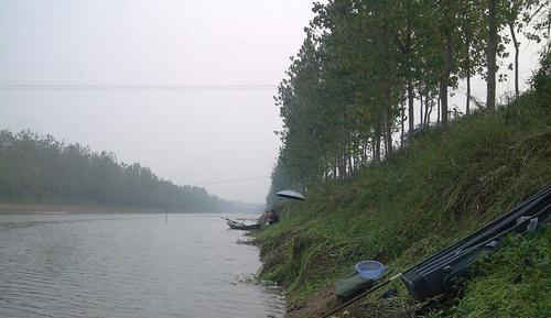 河边浅水钓鱼技巧（享受钓鱼乐趣）  第2张