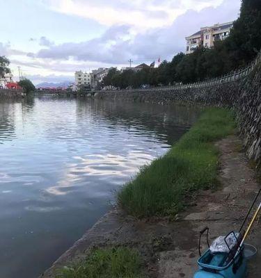 河边散步钓鱼的技巧（享受自然）  第2张