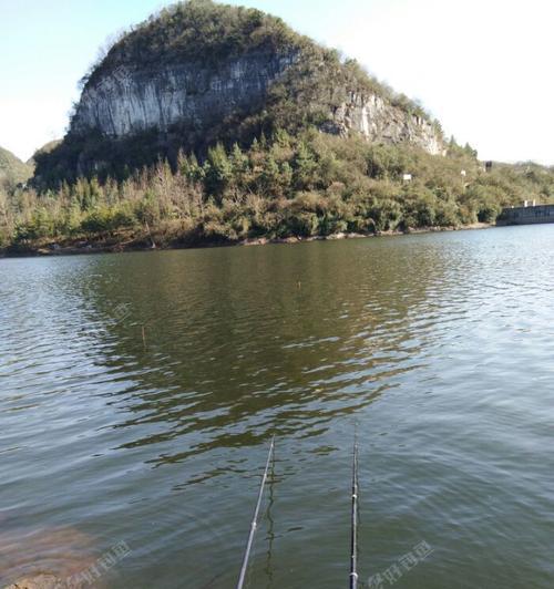 河边水塘钓鱼技巧（钓鱼）  第2张
