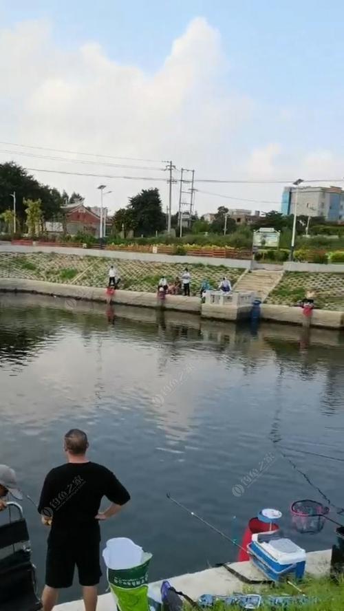 河边养鸭场钓鱼技巧与方法（玩转养鸭场）  第1张