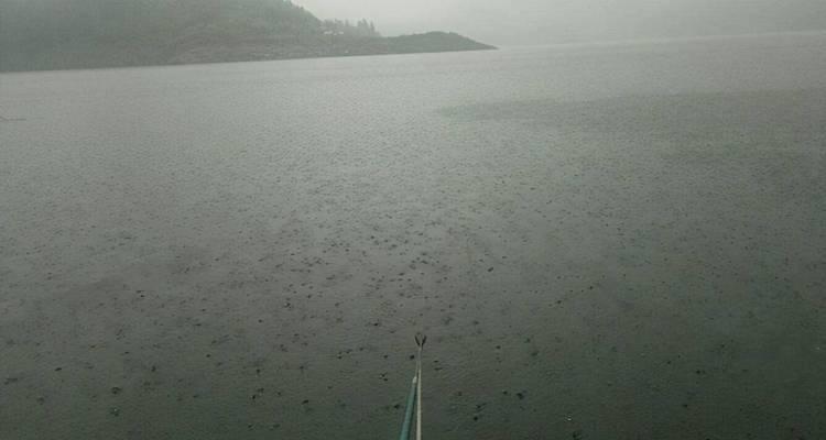河边野钓钓鱼技巧（掌握钓鱼技巧）  第3张
