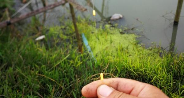 河道钓鱼调漂技巧（提高钓鱼成功率的关键技巧）  第3张