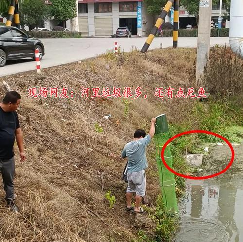河道涵洞钓鱼技巧（探秘河道涵洞钓鱼的捕鱼秘籍）  第1张