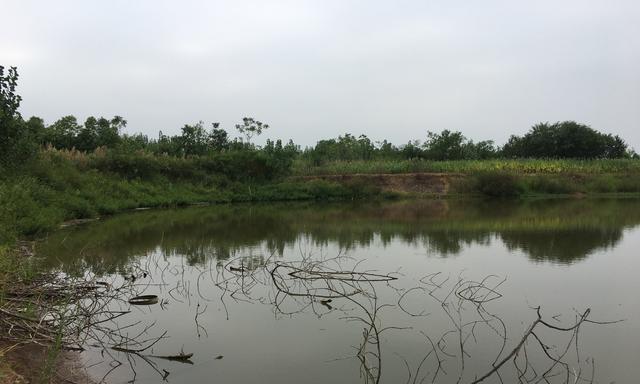 探秘河道乱石堆钓鱼技巧（玩转水中奥秘）  第1张