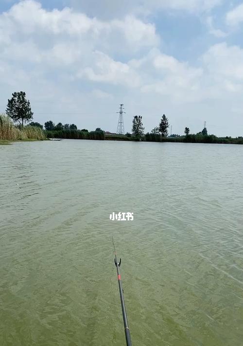 探秘以河道排水口钓鱼技巧（揭秘河道排水口钓鱼的窍门）  第2张
