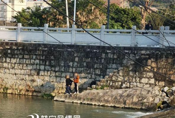 河堤斜坡钓鱼技巧（提高钓鱼效果的小窍门）  第1张