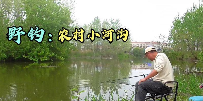 夜钓鱼的技巧和方法（河沟夜钓鱼秘籍）  第1张