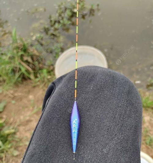 河里钓鱼的调漂方法和技巧（如何有效地掌握调漂技巧）  第1张