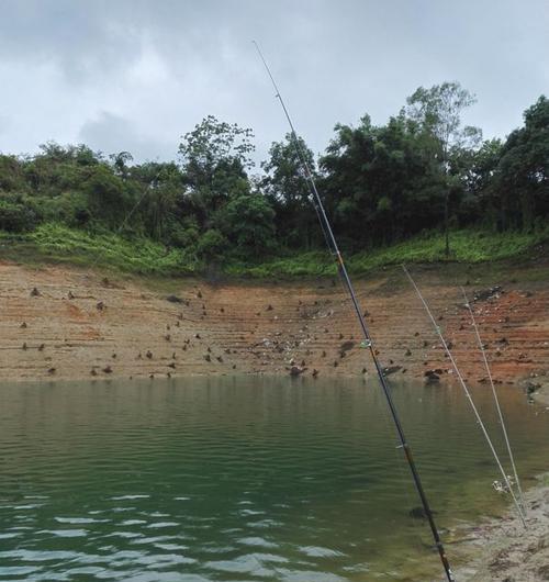 湖北仙桃水库钓鱼技巧与方法（探秘仙桃水库的钓鱼之道）  第1张