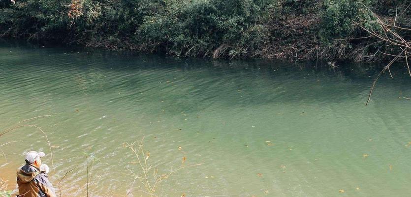 湖北仙桃水库钓鱼技巧与方法（探秘仙桃水库的钓鱼之道）  第3张