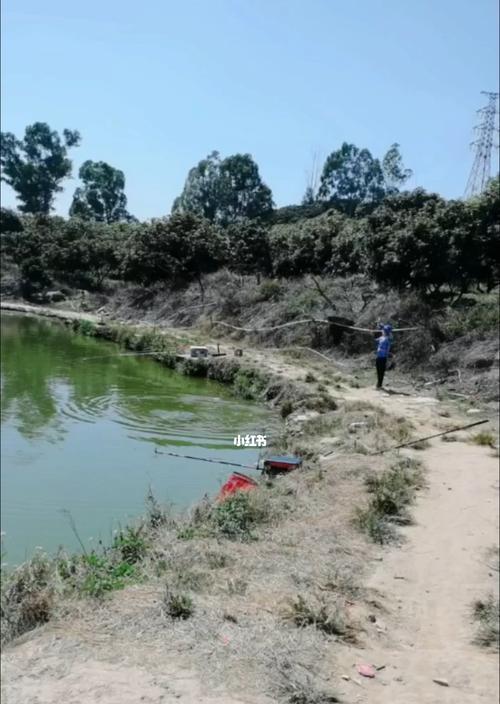 湖中深水钓鱼技巧（探索湖底奥秘）  第2张