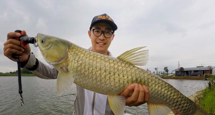 湖水钓鱼技巧大全（提升钓鱼技巧）  第2张