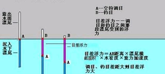 湖库钓鱼调漂技巧（钓鱼高手的湖库调漂心得分享）  第3张