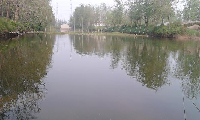 湖库冬季钓鱼技巧（冬季钓鱼离不开的技巧与经验）  第1张