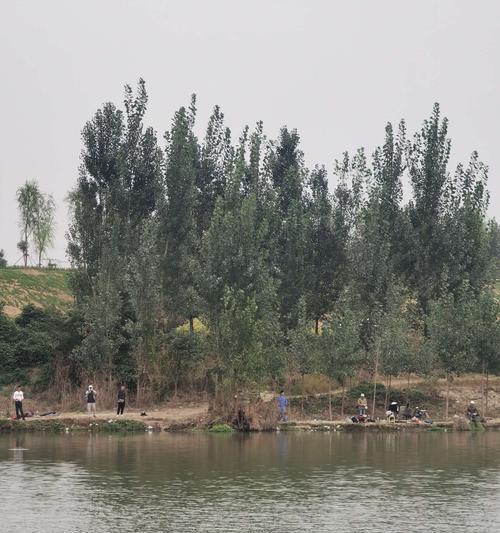 湖南省永州萧水河钓鱼技巧（掌握技巧）  第2张