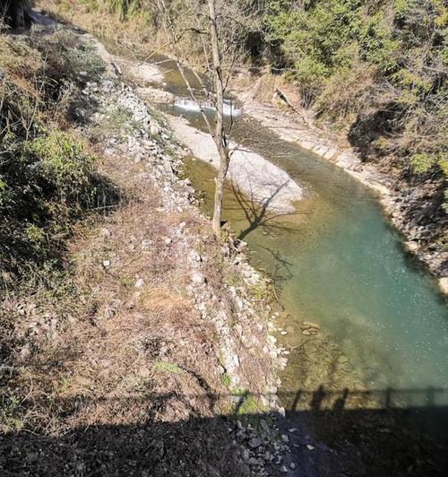 槐树沟水库钓鱼技巧与方法（探秘槐树沟水库的钓鱼技巧）  第2张