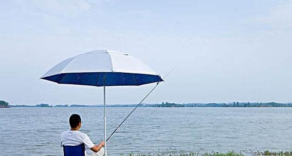 槐树湾水库钓鱼技巧与方法（掌握这些技巧）  第1张