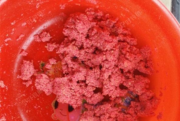 黄蜂钓鱼的方法与技巧（掌握黄蜂钓鱼）  第2张