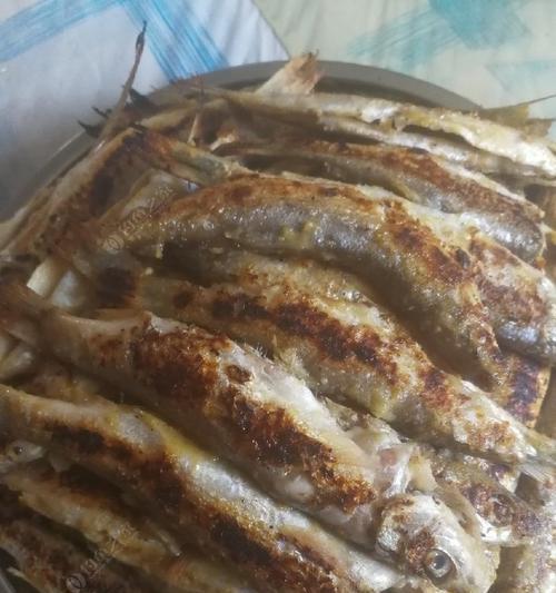 黄姑鱼垂钓技巧大揭秘（掌握黄姑鱼垂钓技巧）  第3张