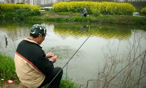 黄河河道钓鱼技巧大揭秘（掌握黄河钓鱼技巧）  第1张
