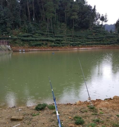 黄河流水钓鱼技巧——乐享垂钓之趣（探寻黄河流水中钓鱼的技巧与乐趣）  第1张