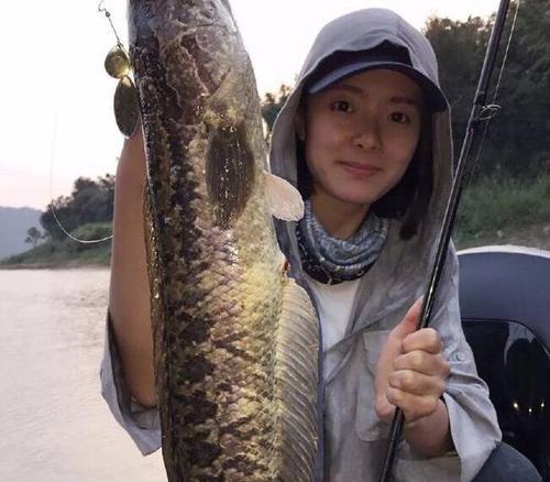 黄麻布钓鱼技巧大揭秘（提高成功率的实用技巧与经验分享）  第3张